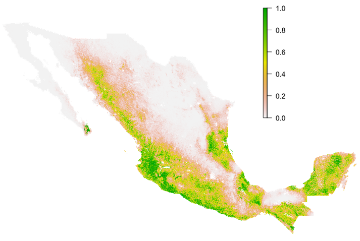 This year, I’ve been learning new tools to analyze #ecological data for my #PhD and it’s been incredibly exciting! As someone who’s always loved maps, I’m thrilled to explore spatial patterns for my species. I just generated my first habitat suitability projections using MaxEnt!