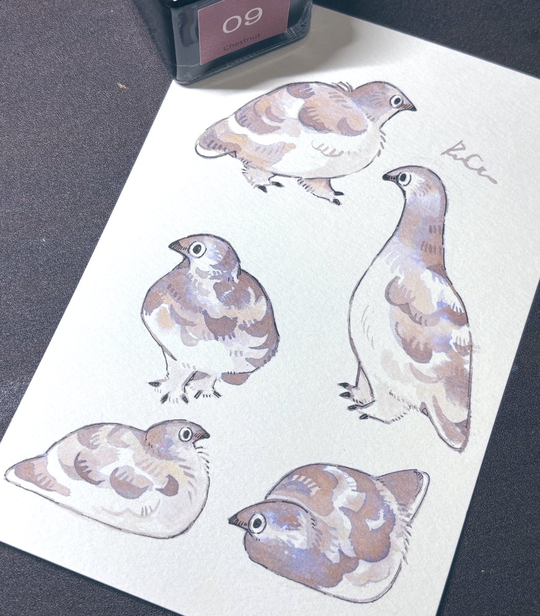 夏のらいちょう