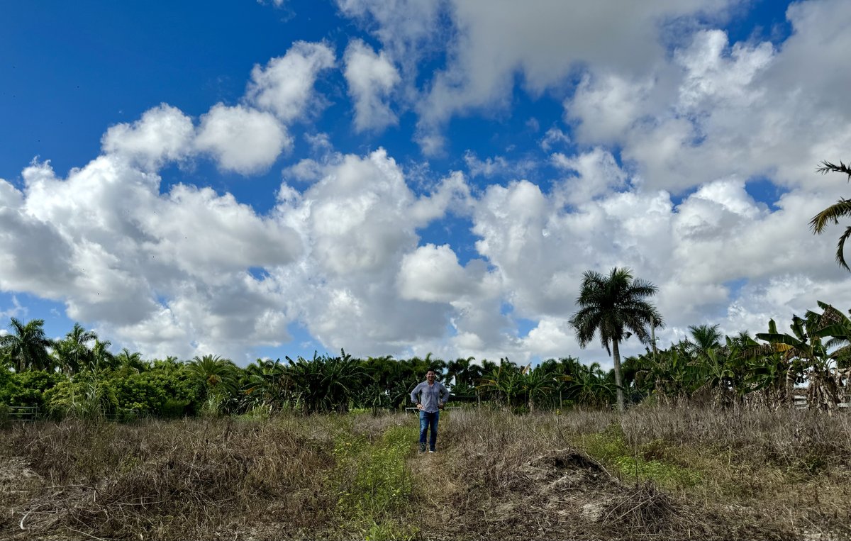 Ben Wolff tweet media