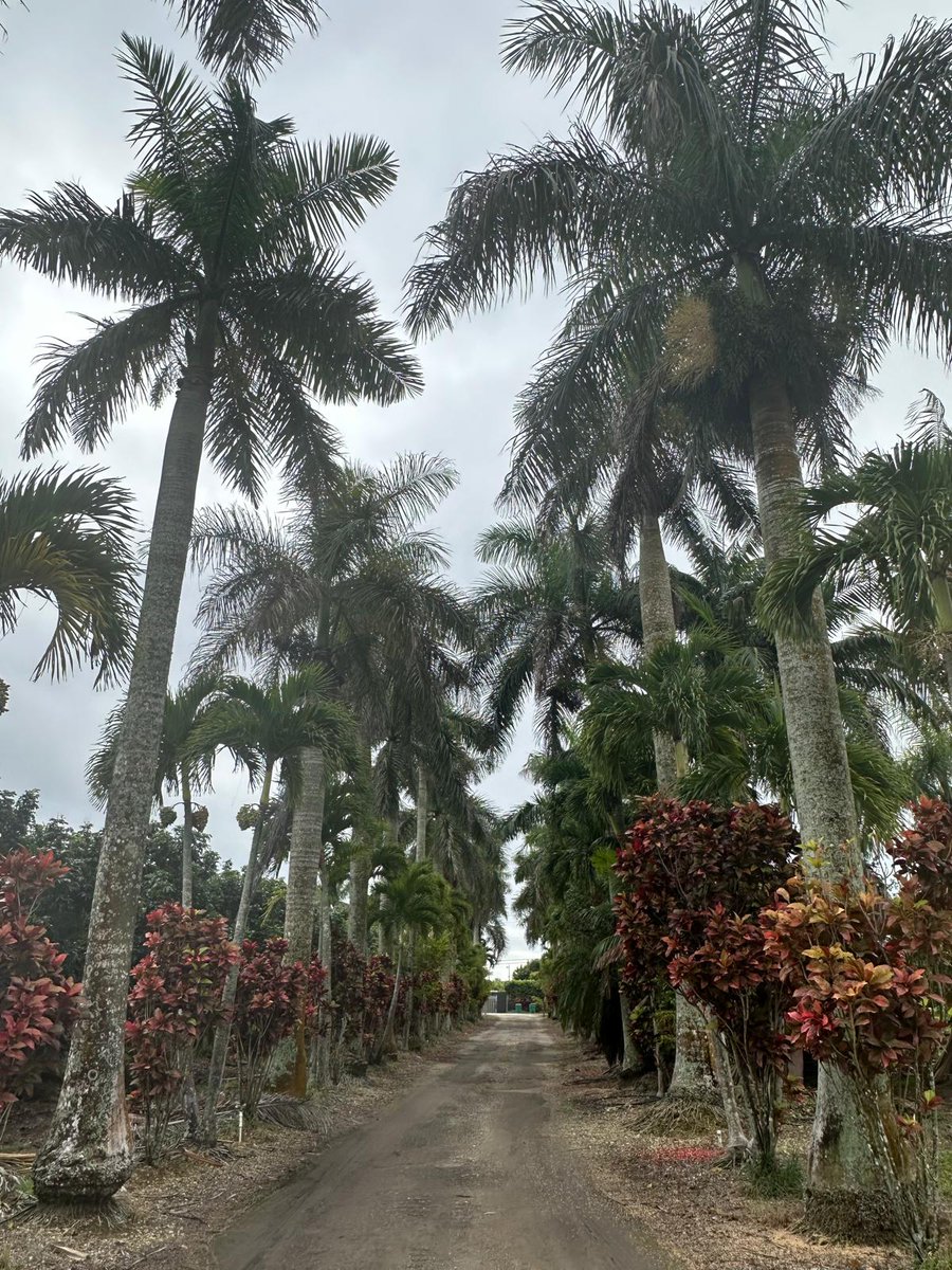 Ben Wolff tweet media