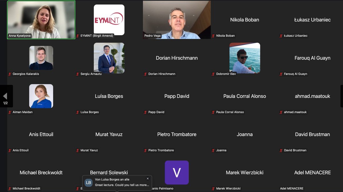 esmintsociety's tweet image. Thanks to Pedro Vega for his great talk on double stent retriever technique in acute stroke treatment in today’s e-Fellowship session! Thanks to Georgios Kalarakis, Nikola Boban, Sergiu Arnatiu & moderator @anna_kyselyova! @Aggour @GuenegoAdrien @Roland_K_Schwab @MPeyT1 @jc__ray