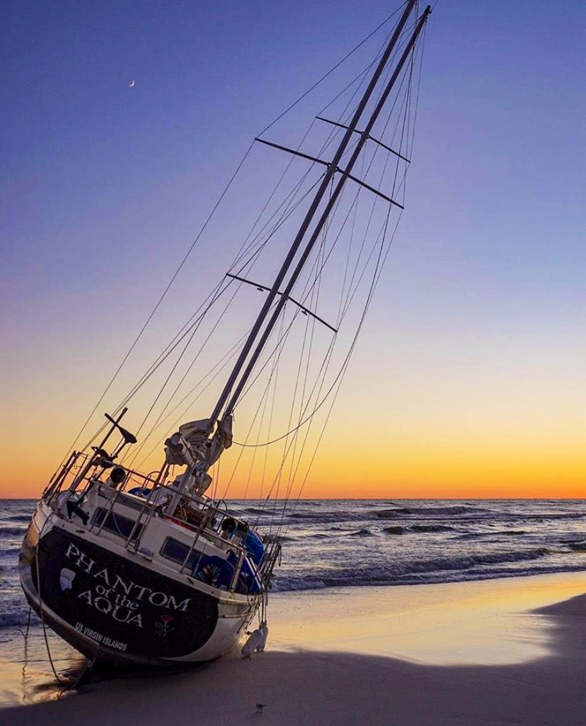 cbridgmon's tweet image. 