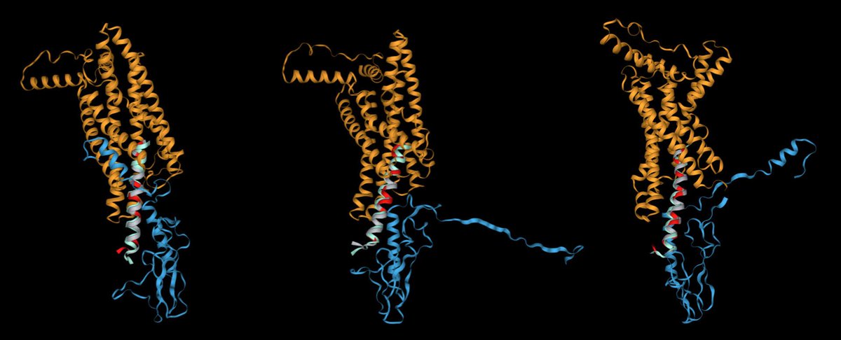kooshiar's tweet photo. Our AI model MP4 designed 93 GLP-1R agonists. 67% outperformed the native peptide in experimental testing.
To our surprise, the more creative the AI got, the greater the activity gains.