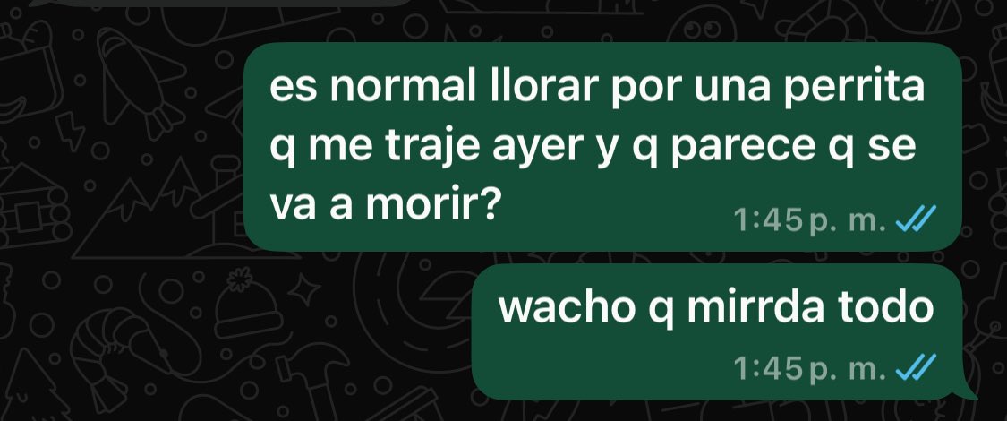 telechea__'s tweet photo. estoy totalmente destrozado wacho https://t.co/DzKj7dbsBy