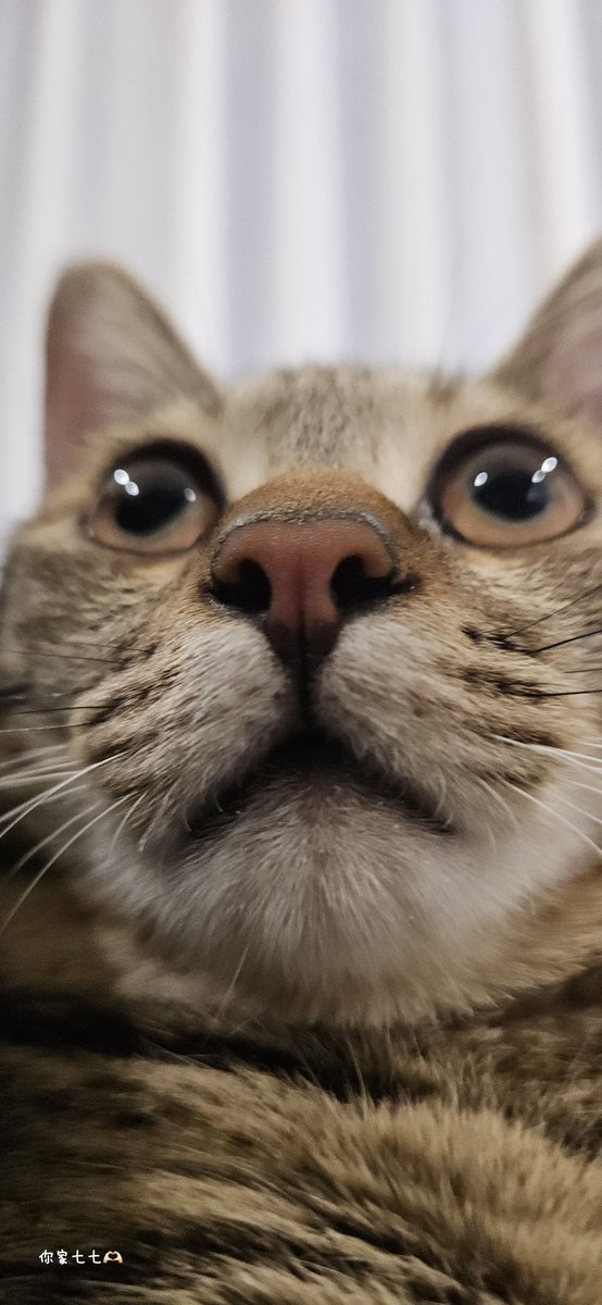 完蛋，這次的楓之谷真的是我熟悉的那個版本🙃
有人要加好友一起玩不