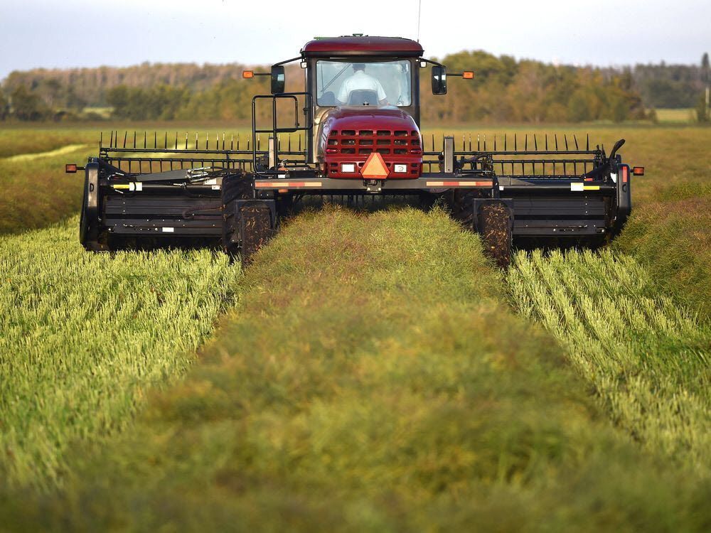 Removing Chinese tariffs on Canadian agriculture products a priority financialpost.com/commodities/ag…