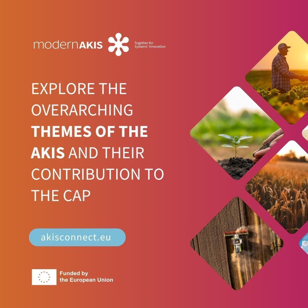 HEurope modernAKIS (@modernakis) on Twitter photo 🔍 The most represented topic is the use of simplified options costs that were applied to some AKIS-related types of interventions: training of farmers, partners of the operational groups, and provision of farm advisory services. 
Explore more: akisconnect.eu/akis-in-practi… 🔍 The most represented topic is the use of simplified options costs that were applied to some AKIS-related types of interventions: training of farmers, partners of the operational groups, and provision of farm advisory services. 
Explore more: akisconnect.eu/akis-in-practi…