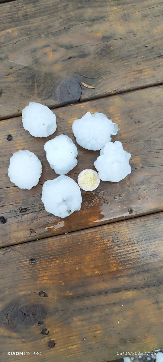 🌩️ Le département de la #Loire a été de nouveau touché par d’importantes chutes de #grêle cet après-midi, pour la 2ème fois en 48h. Des grêlons plus gros qu’une pièce de 2 € se sont abattus sur le Forez, au nord-ouest de St-Étienne (images Horticulture du Forez) #VigilanceOrange