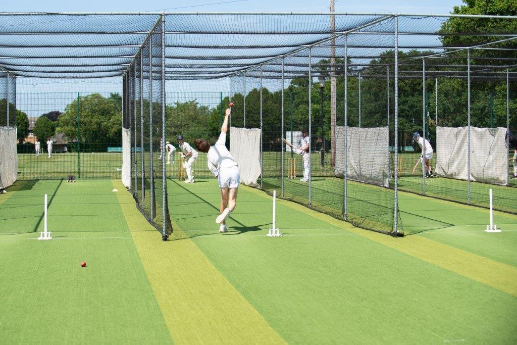 The Lemon Tree Education tweet media