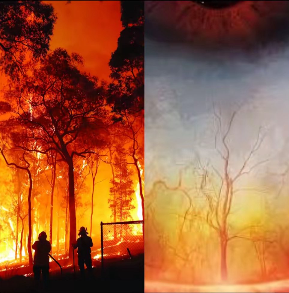 عبدالله البدراني :
راع الهوى مايدلهّنه سنينه
ويدور الضيقه ولو يشتريها

من كثر عبرات شرايين عينه
غابات سدرٍ شبت النار فيها