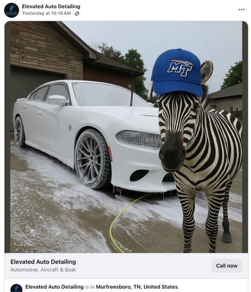 $ed memes are too funny. This whole town is making it even more viral on fecebok. Imagine selling the next $pnut level runner below a 100k. You’ll buy back when Elon, Joe and trump all mention the zebra taking over Tennessee.