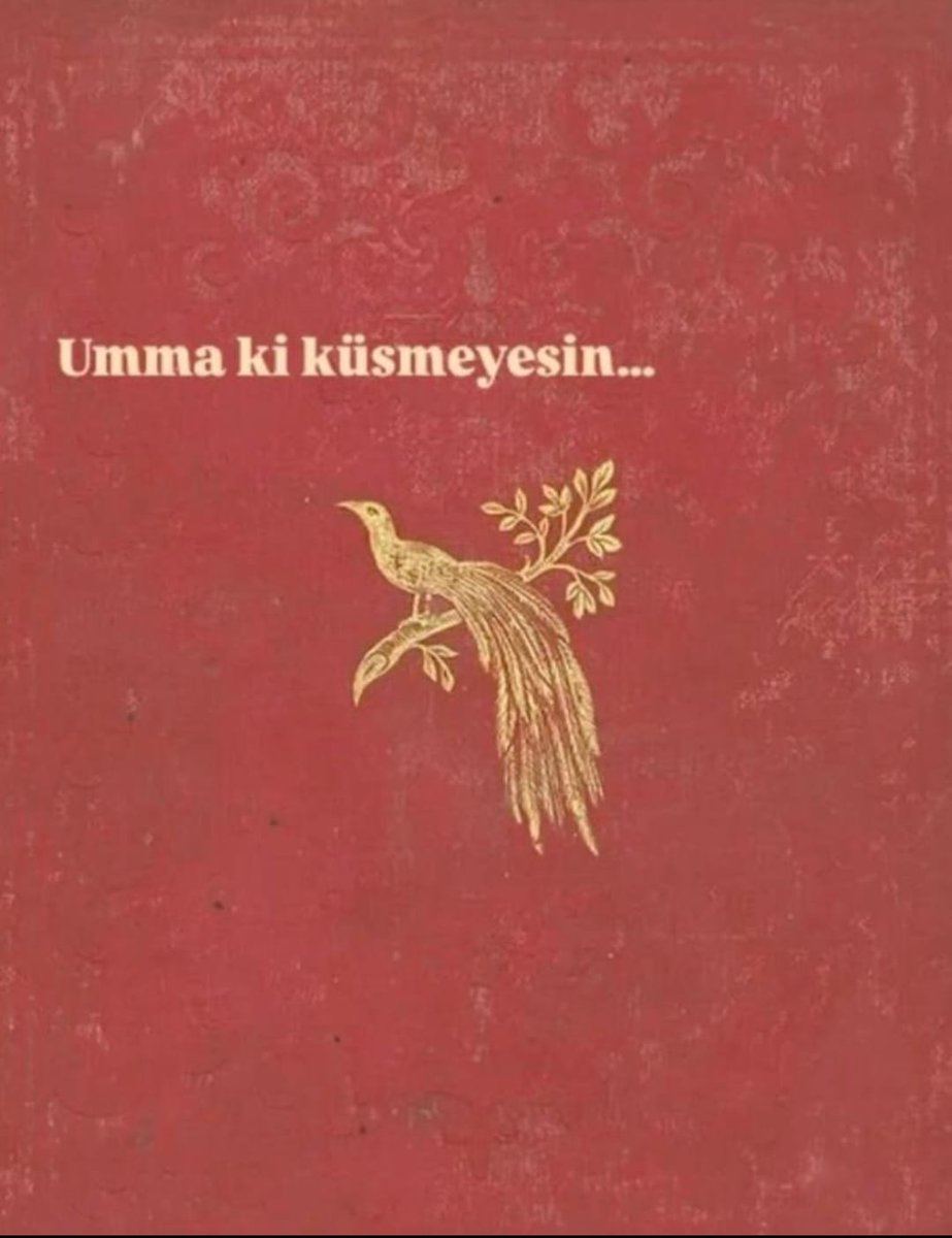 Halit Ziya Suda (@hzsuda) on Twitter photo 