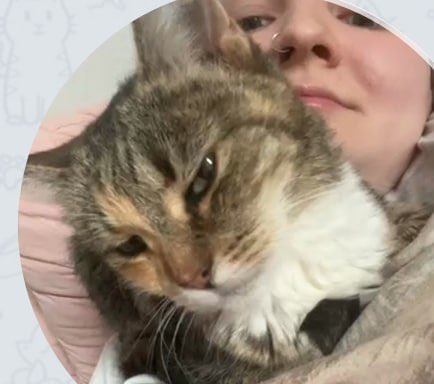 юля (@kanimewest) on Twitter photo 