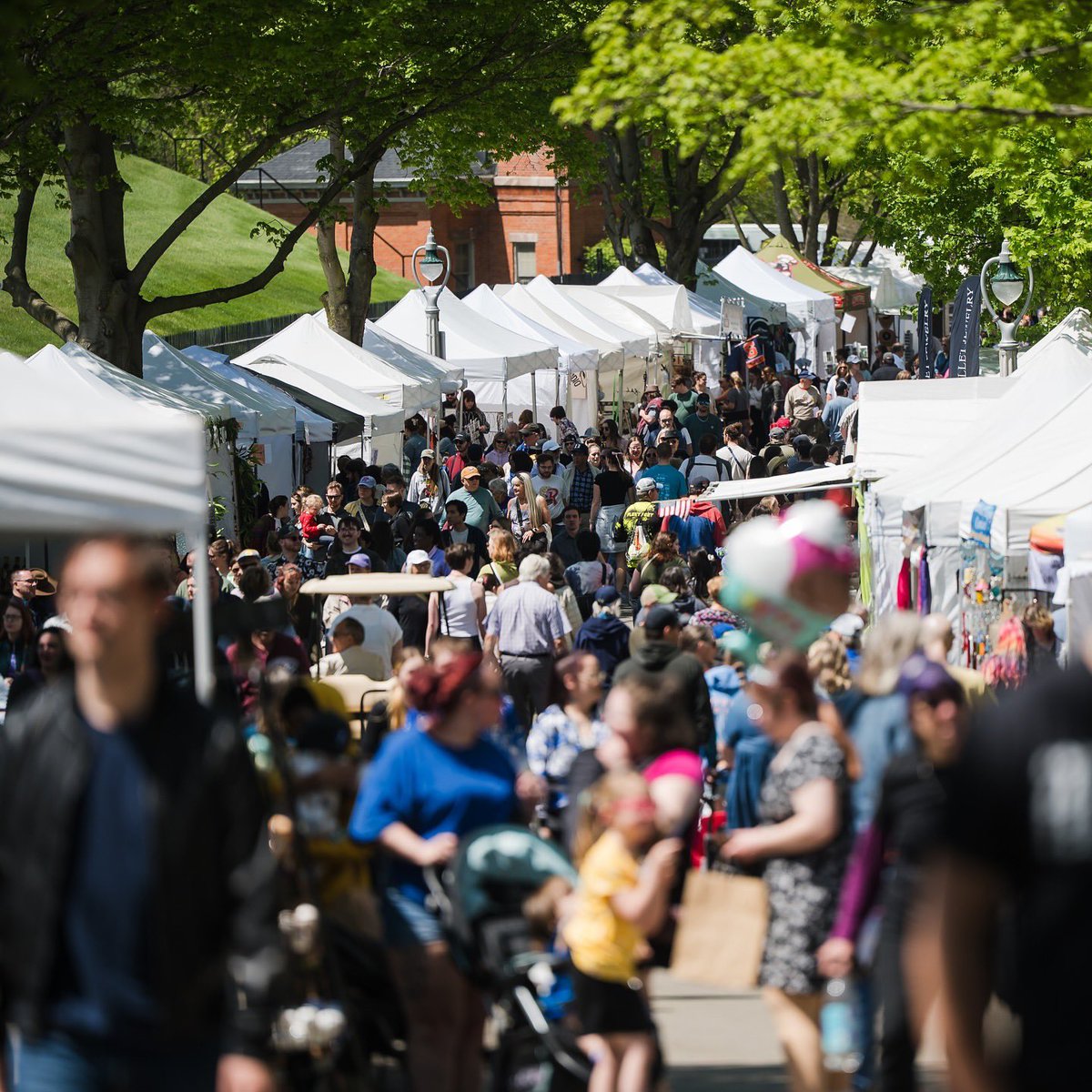 Quench Buggy tweet media