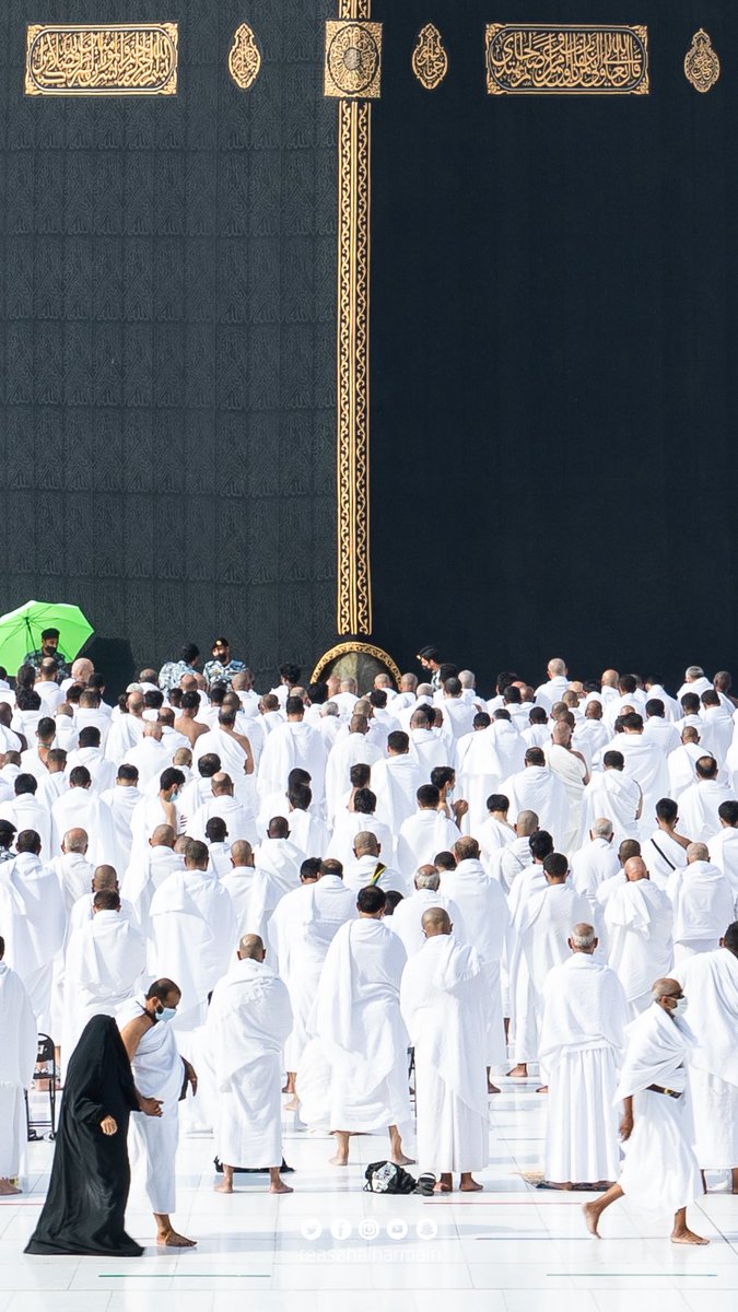 يا لَيْتَنِي فِي أَرْضِ مَكّةَ أبْتَغِي
فَضْلَ الإلهِ مَعَ الحَجِيجِ أُنَادِي

لـبّـيْـكَ يا الله جِئْتُ مُلَبّيًا
جَرّدت منْ كُلّ الحَيَاةِ فُؤَادِي. 🕋♥️