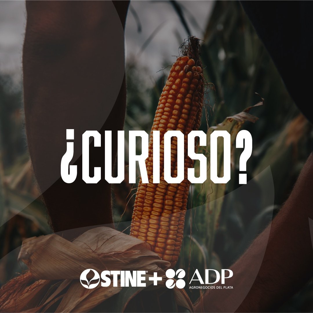 adp_uruguay's tweet photo. https://t.co/ElNWdT6PZz