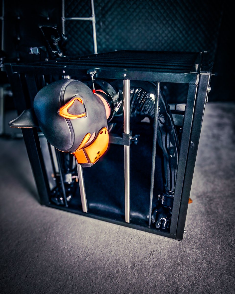 Pls don‘t leave me in here for too long <a href="/Boundprincecgn/">BoundPrince</a>  🥺