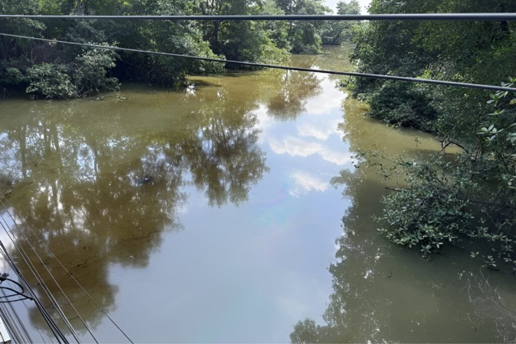 🇪🇨 El gobierno denunció ante la Fiscalía un derrame de aceite quemado y grasas en el estero El Salado, Guayaquil. La ministra María Luisa Cruz informó que el incidente afectó los manglares y fauna local.