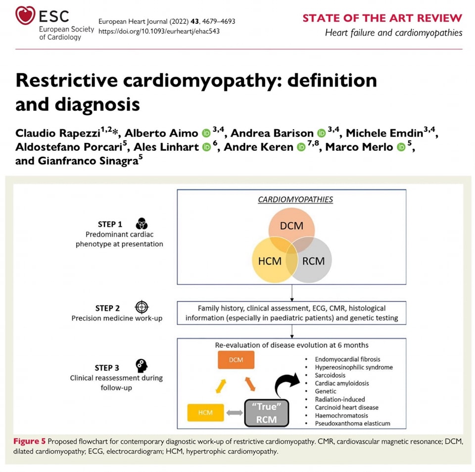 🔴Restrictive cardiomyopathy: definition and diagnosis⤵️State of the Art #Review #OpenAccess 

🔹academic.oup.com/eurheartj/arti…
 #Cardiology #FOAMed #MedEd #medstudent #paramedic #Cardiology #CardioEd #medtwitter #meded #CardioTwitter #cardiotwiteros  #MedX #cardiovascular #MedTwitter