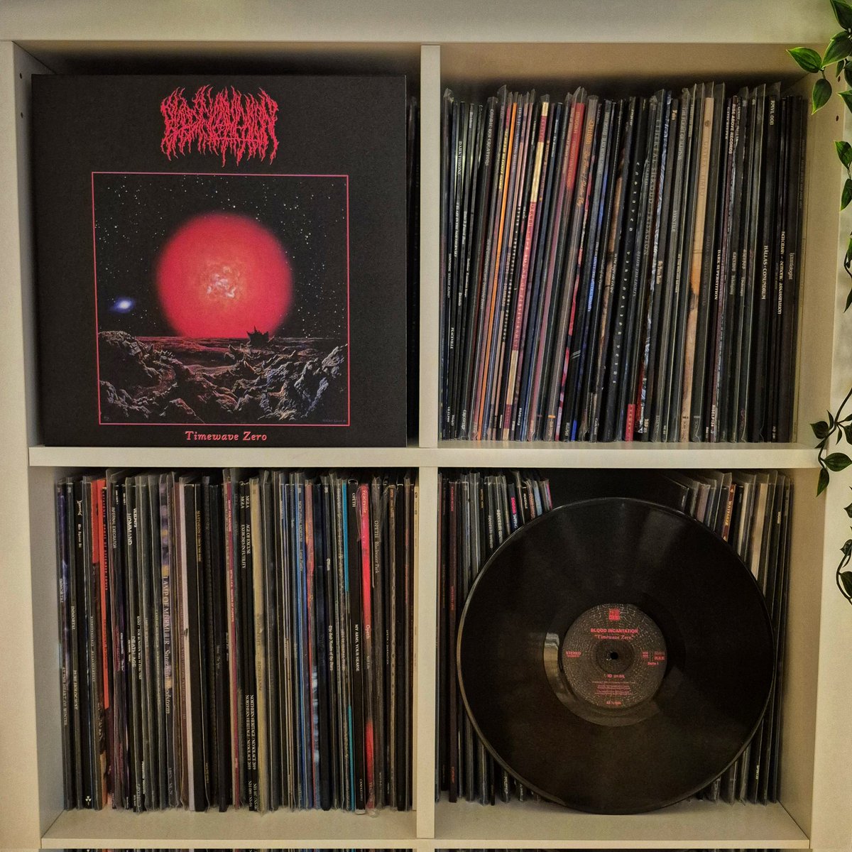 Evening spin 📀

I just love this album. 

Blood Incantation - Timewave Zero (2022) 🇺🇸
#NowPlaying