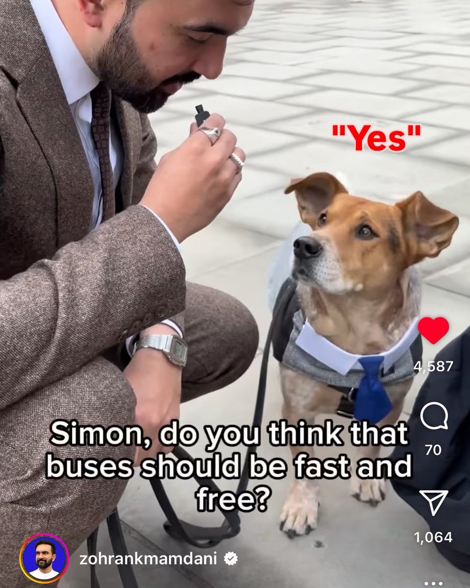 Simon and I are proud to endorse <a href="/ZohranKMamdani/">Zohran Kwame Mamdani</a> as our no. 1 choice to be the next (actual) mayor of NYC!

Don’t forget to fill out all 5 slots on your ballot and, whatever you do, DON'T rank Cuomo.

A better NYC is possible, but we have to believe in it. nycvotes.org