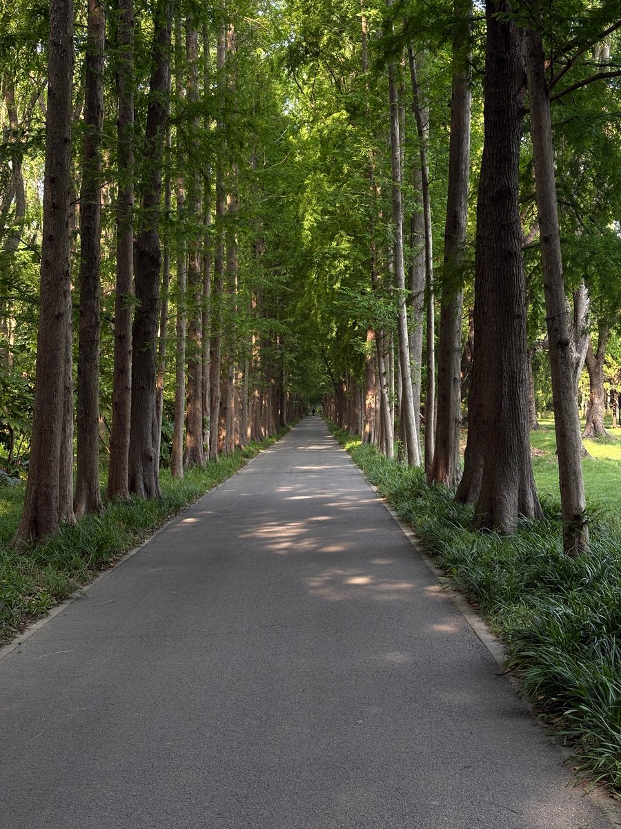 _sami3_2's tweet image. 여름은 더워서 싫은데 또 이런 풍경은  좋음🌳🍃