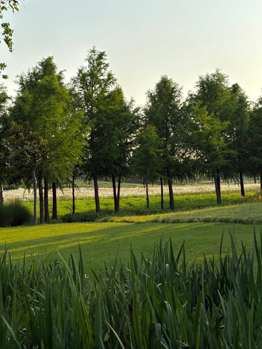 _sami3_2's tweet image. 여름은 더워서 싫은데 또 이런 풍경은  좋음🌳🍃