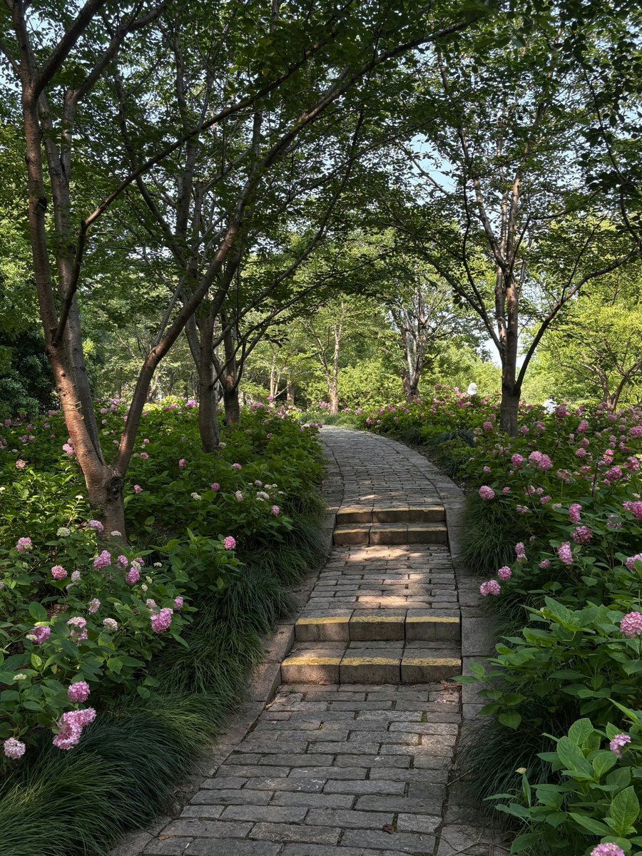 _sami3_2's tweet image. 여름은 더워서 싫은데 또 이런 풍경은  좋음🌳🍃