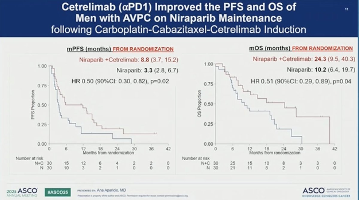 MikeSerzanMD's tweet photo. 🗣️Prostate Oral Abstract #ASCO25

👉Abst5008: Dr @aaparicioMD presenting #CarboplatinCabazitaxelCetrelimab -> #Niraparib +/-  Cetrelimab in AVPC on #C3NIRA

n = 120 
#AVPC (>1/9 criteria: small cell, visceral/bone only, >5cm bulky nodes, early CRPC, PSA <10, high LDH/CEA, loss TP53/RB1/ PTEN)

💉Induction Cabazitaxel+ Carbo + Cetrelimab x6 cycles  
n = 40 (Early PD)
n = 20 (Non-PD Off Study) 

n= 60 randomized to maintenance 
💊Arm A: #Niraparib + #Cetrelimab
💊Arm B: #Niraparib

                       NIRA + CET vs NIRA
✅rPFS:                       5.6 vs 3.4mo    (p=0.01)
✅mOS:                   24.3 vs 10.2mo   (p=0.01)

🔬scRNA Seq in Randomized pts (n=5) 
👆CD8+ exhausted T cells and 👇 FoxP3+ Treg 

🔬scRNA Seq in Early PD pts  (n=5) 
👇CD8+ exhausted T cells and  👆FoxP3+ Treg

⚠️>G3 TRAE (A) 56% vs (B) 35%
⚠️Anemia      (A) 22% vs (B) 18%

🔑 KEY TAKE AWAYS
- A subset of men with #AVPC derive benefit from platinum/taxane/PD1 followed by NIRA + Cetrilimab evidenced by 
- Paired tumor analysis shows increase in CD8+ exhausted T cells and 👇 FoxP3+ Treg in randomized pts relative to the opposite in pts with early PD 
- #AVPC remains areas of unmet need 

👥@DrChoueiri @neerajaiims @Silke_Gillessen @APCCC_Lugano @Prof_Nick_James @pearldaily @BourlonMaite @AtishChoudhury @mishabeltran @TDorffOnc @Daniel_J_George @AzadOncology @bavilima @DRBakaloudiMD @nataliagandur @OncoAlert @OncBrothers @urotoday @PCFnews