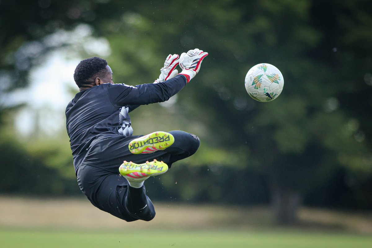 KOKEM SHOOT tweet media