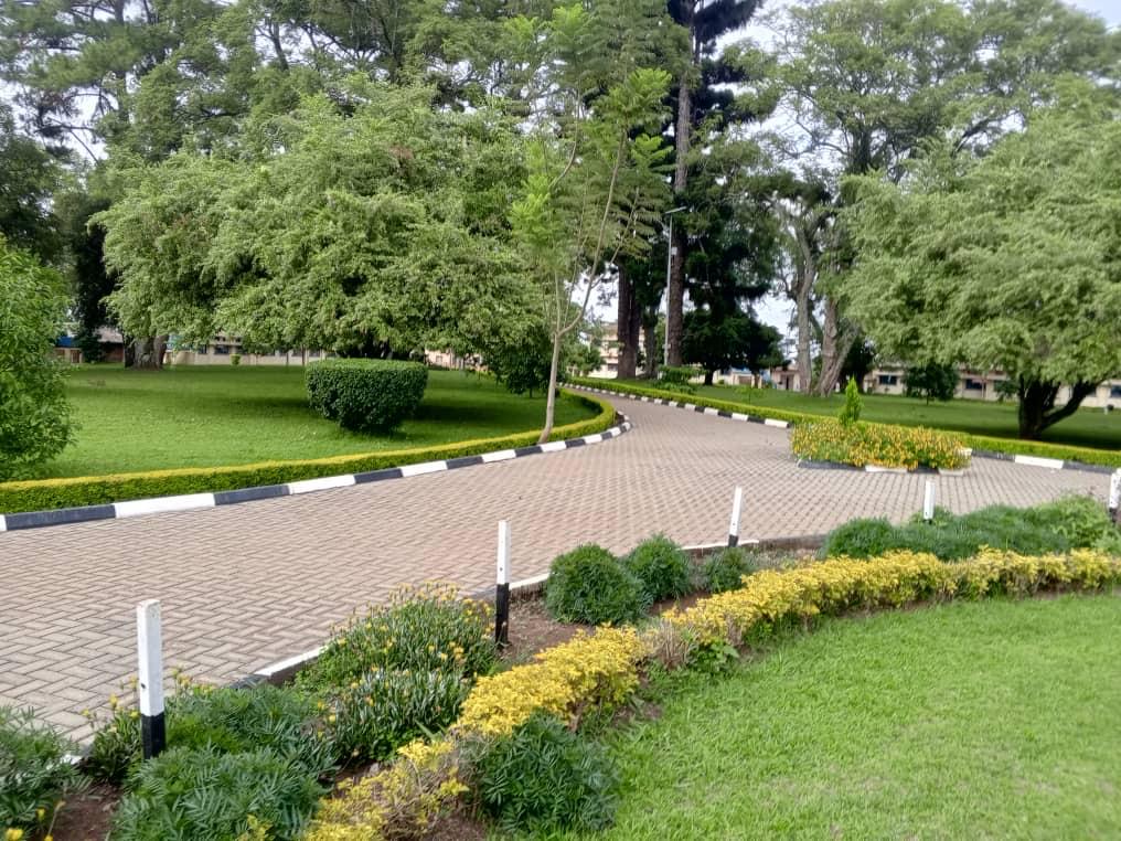 SilverKayondo's tweet photo. St. Leo's College, Kyegobe (SLECK). Since 1921. Class is permanent.

@SLECK1921 @sleckleague https://t.co/jwxUIVk5Gz