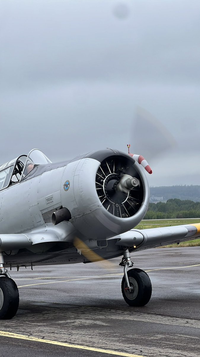 maho (@1tanrici) on Twitter photo 