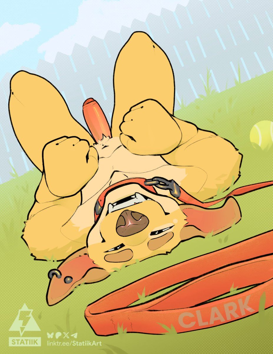 STATIIK 🛩 LVFC, FWA tweet media