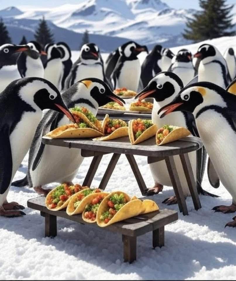 ScienceDJX's tweet photo. TACO Tuesday. https://t.co/0HEsFVEBYl