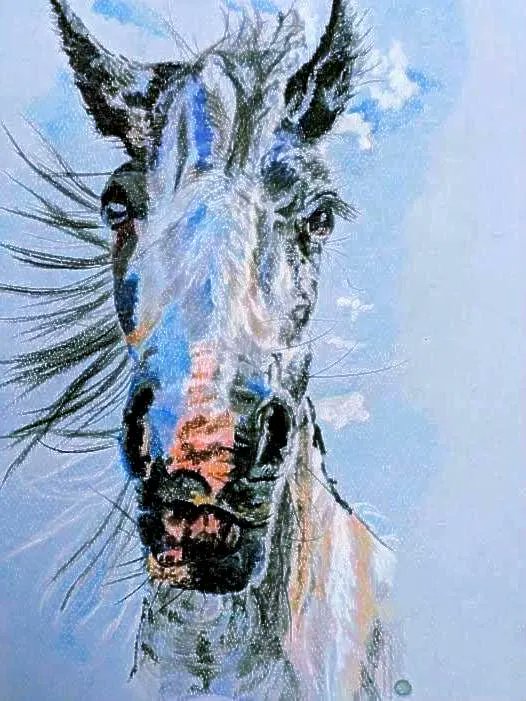 kayehowarth22's tweet photo. Blue Horse Portrait- Mystical Moments - Wall Art Digital download https://t.co/JVGImCzTUm via @Etsy https://t.co/d363VUyrol