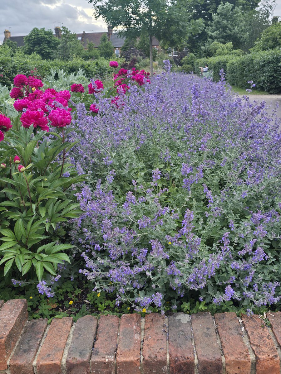 Our's park bes sooooo's very's beautifuls Lloyd Park  #Walthamstow