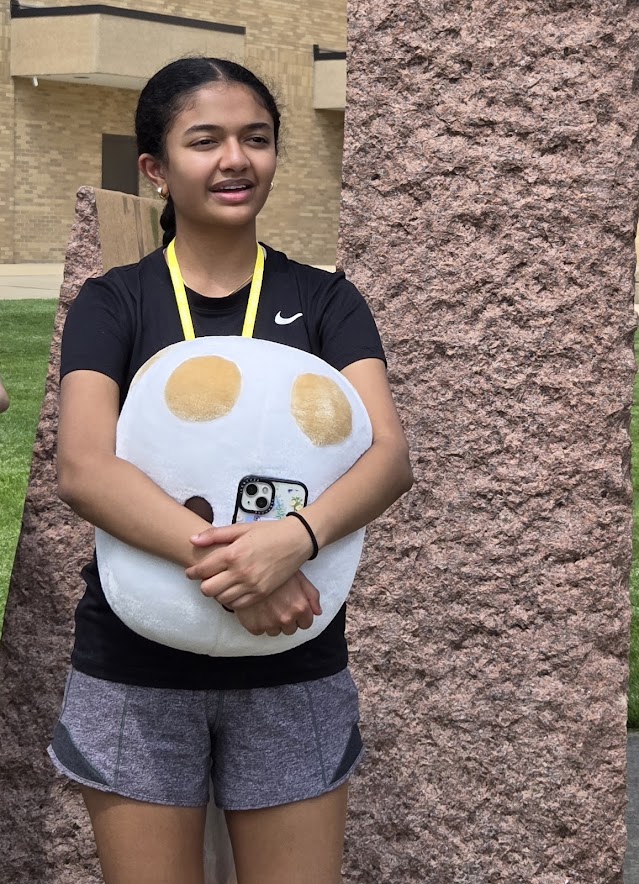 GermJuggler's tweet photo. When your camp director is a microbiologist and obsessed with @GIANTmicrobes you get to try to fill a campus landmark with microbes! #EngineeringWithBiology  @MissouriSandT @sandtcase https://t.co/1vAdJQnG9v