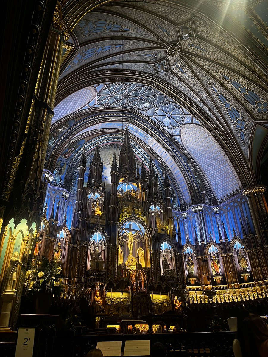 Gucci_Canada's tweet photo. 好きなアーティストのライブでMontrealに来てるけど、景観が段違いで綺麗🥺

冗談抜きでカナダ国内にあるヨーロッパでした

この時期は暖かいからベストシーズンだった✨ https://t.co/Ad66QIYKcH