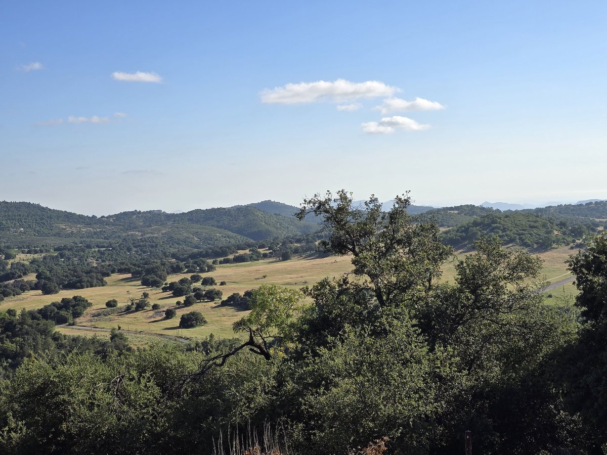 what a beautiful place to be when they take down prod