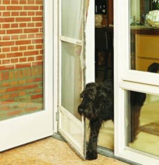 Allergie? Kat? Harde hond? Onze hordeur met pet screen, pollengaas, kattenluik en aluminium frame is er klaar voor. Jij ook? Berg Zonwering Vof - Noordwijkerhout. Richard van den Berg verzorgd het inmeten en de montage