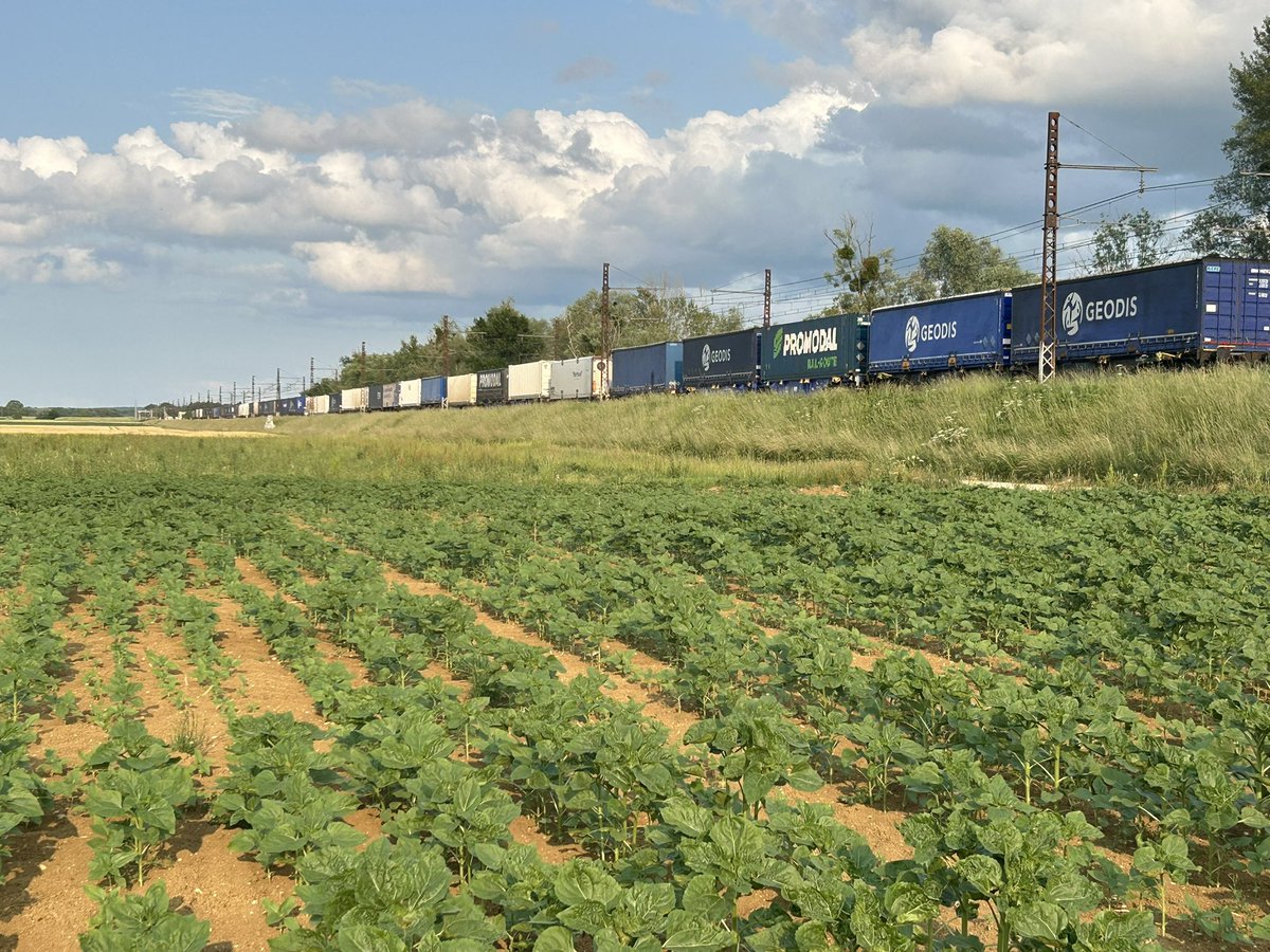BONNIN1402's tweet photo. Tandis que la BR186 #ECR fait la course avec la BB27000 #FretSNCF.
Aucune idée du tonnage mais pour la longueur c’est la 2ème qui gagne!
Qui sera à Dijon-Ville en 1er?
#pk198 et ses trains de boîtes colorées https://t.co/k6L8APhc5c