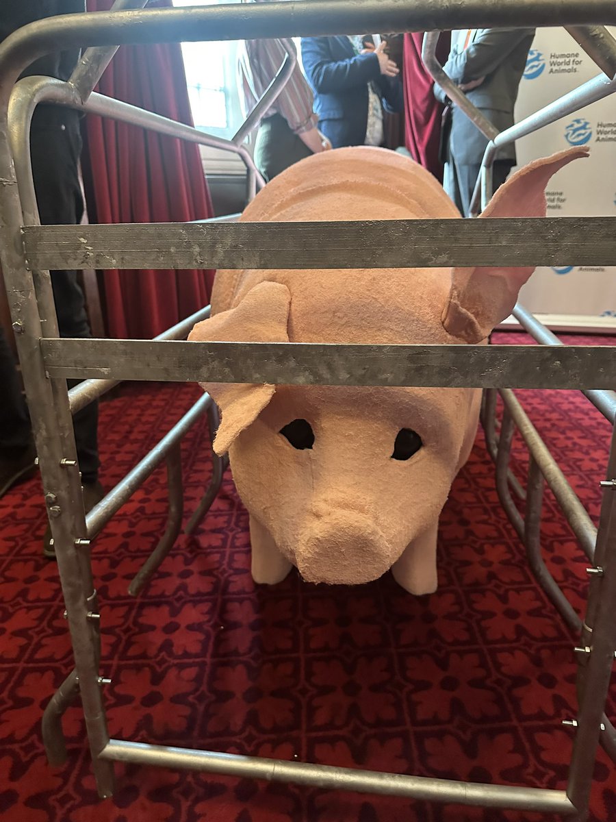 James West (@james_ciwf) on Twitter photo Well done to <a href="/humaneworlduk/">Humane World for Animals UK</a> for a very well organised and timely event in Parliament, this evening, on ending the use of farrowing crates. Particularly powerful speech by former vet Alice Brough. And very impressive model (moving!) pig in crate Well done to <a href="/humaneworlduk/">Humane World for Animals UK</a> for a very well organised and timely event in Parliament, this evening, on ending the use of farrowing crates. Particularly powerful speech by former vet Alice Brough. And very impressive model (moving!) pig in crate