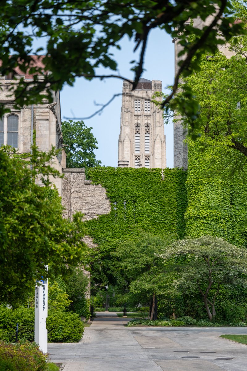 Castle view in the summer pt.1