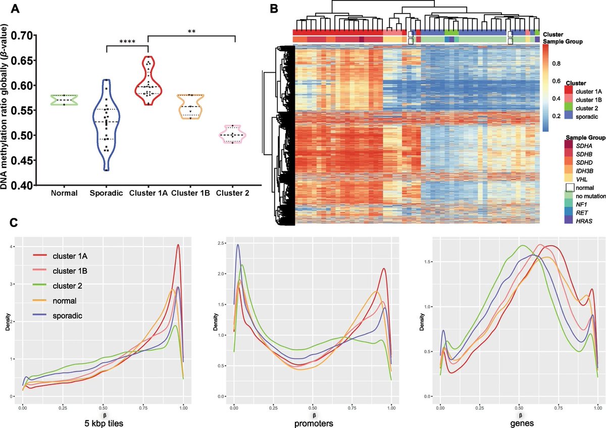 ✅out the work of our Research Advisory Board Chair <a href="/LMFendo/">Lauren Fishbein</a> et al. 👏🌟Patients want to know whether their #pheo #para #PPGL will metastasize. Dr. Fishbein &amp; colleagues' research 🔬  adds to the body of knowledge related to this question.
…lepigeneticsjournal.biomedcentral.com/articles/10.11…
<a href="/TheEndoSociety/">Endocrine Society</a>