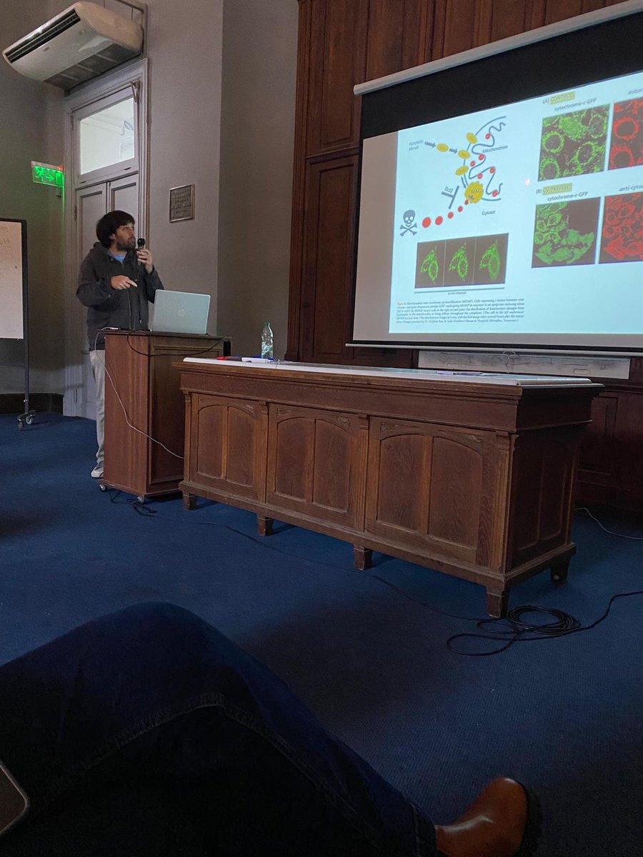 CEINBIO (@ceinbio) on Twitter photo Comenzamos la tarde con la presentación del Dr. Miguel Arocena de <a href="/Fodonudelar/">Facultad de Odontología Udelar</a> Comenzamos la tarde con la presentación del Dr. Miguel Arocena de <a href="/Fodonudelar/">Facultad de Odontología Udelar</a>