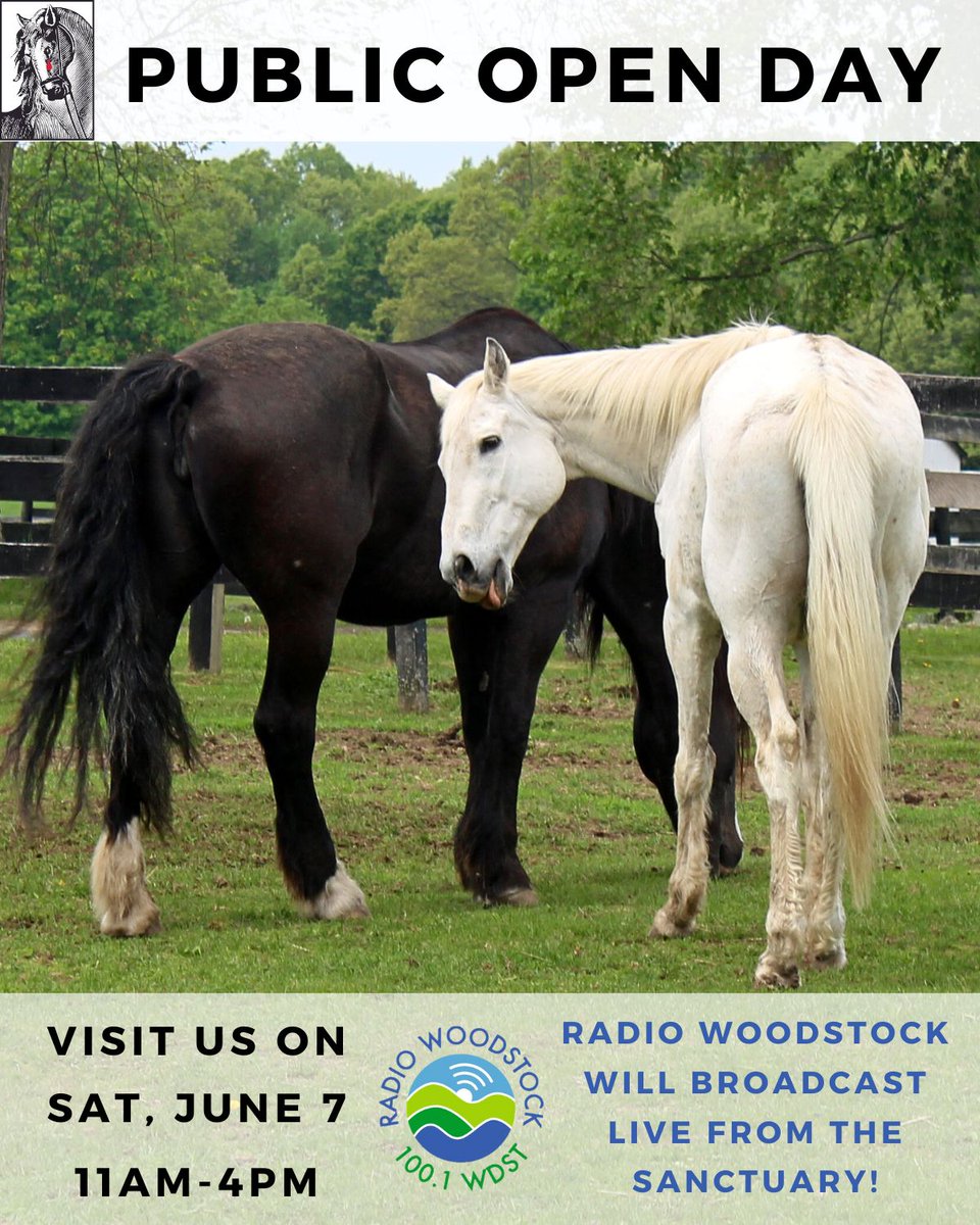 If you're looking for weekend plans that include: 
✅ Adorable equines
✅ 100+ acres of beautiful land to walk around
✅ Supporting animal rescue work 

visit us this Saturday, June 7th, for our Public Open Day! Admission is free 🐴

 More info: equineadvocates.org/public-open-da…