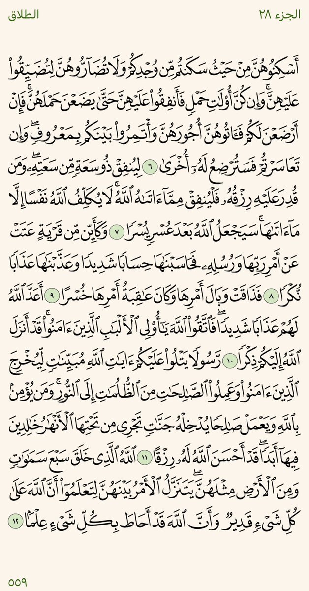 خـتــمـه⏾ tweet media