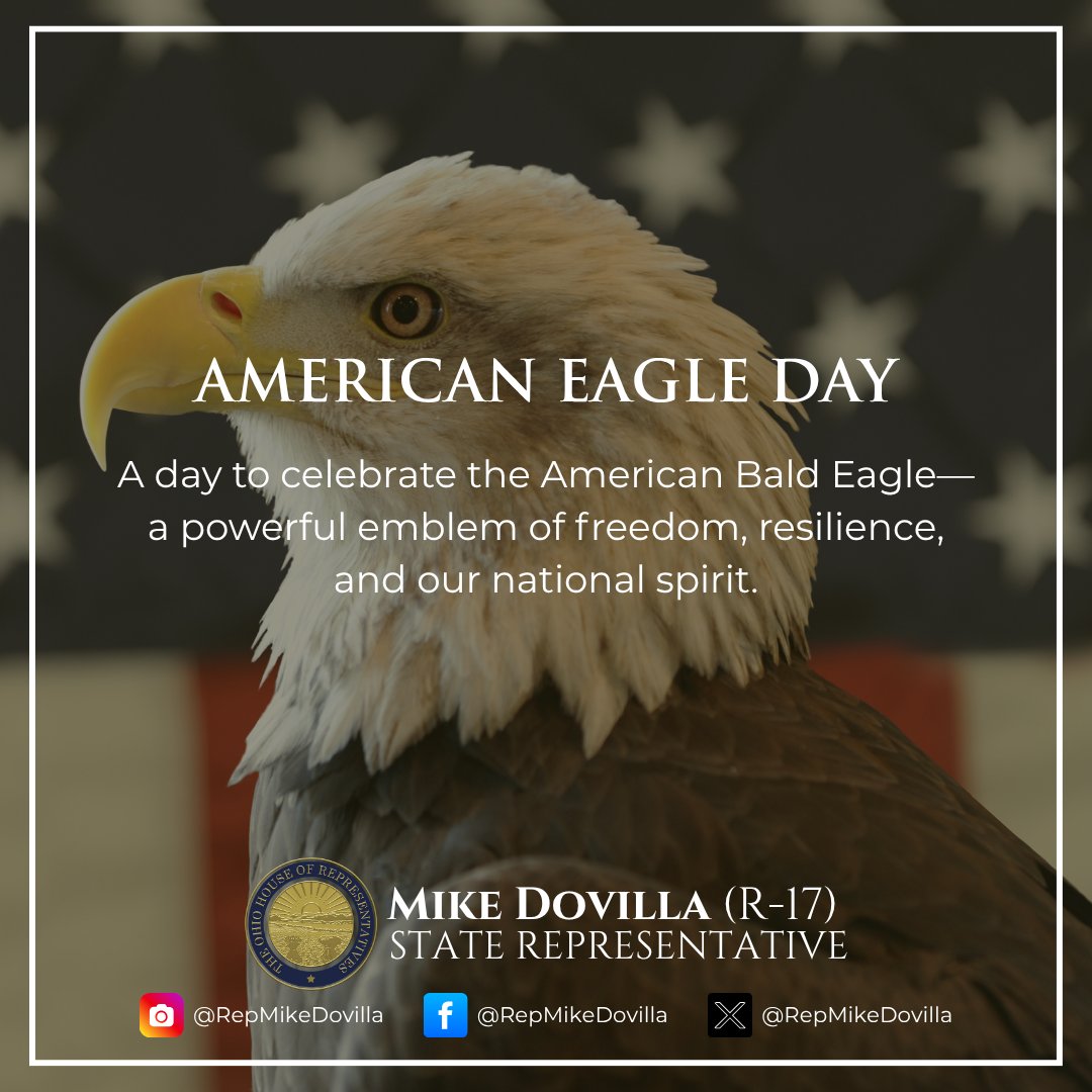 RepMikeDovilla's tweet image. The bald eagle stands for American strength and freedom. On American Eagle Day, we celebrate this proud symbol of our nation.
#AmericanEagleDay #USSymbol
