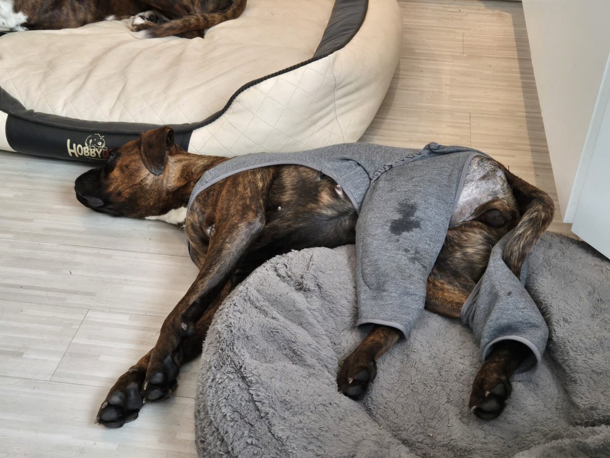 OP ist gut überstanden, Tröte wurde schon gegen Schlafanzug getauscht