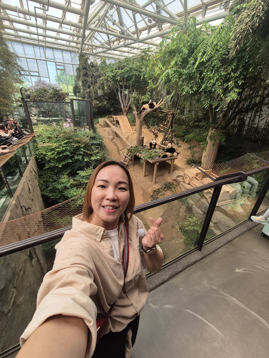 j_juandy's tweet image. Finally met my Idol Panda 😍 Bao Family in #Everland on 7th May 2025. Dreams came true 🥳🫶 #grateful #worklyfe #panda #ontour #korea